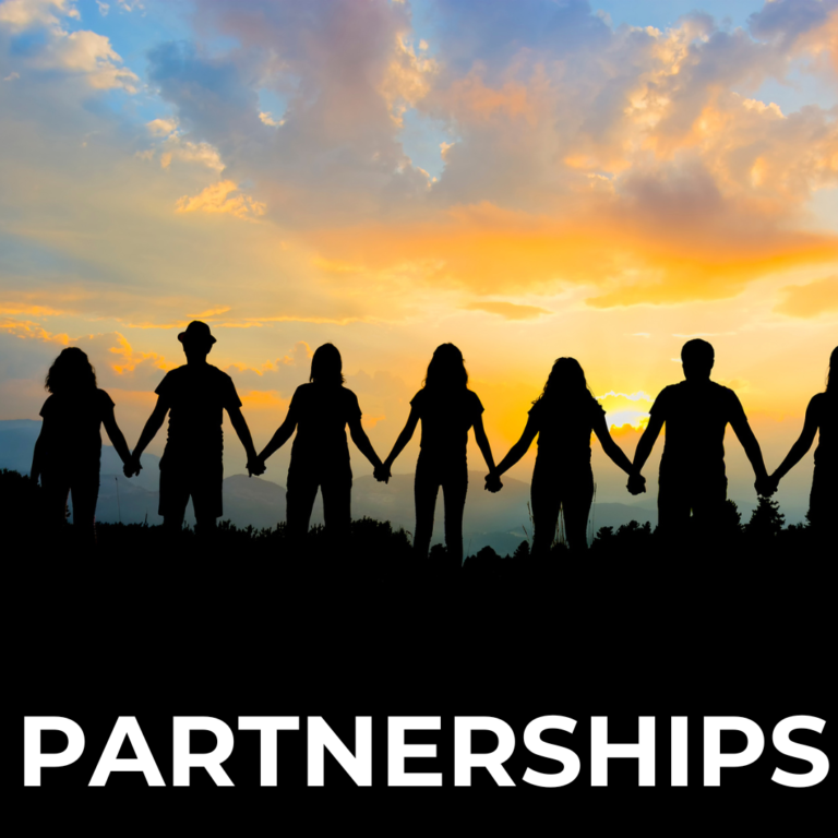 Partnerships for Scouts